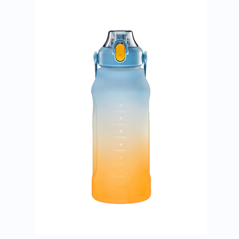 Frosted Gradient Water Bottle
