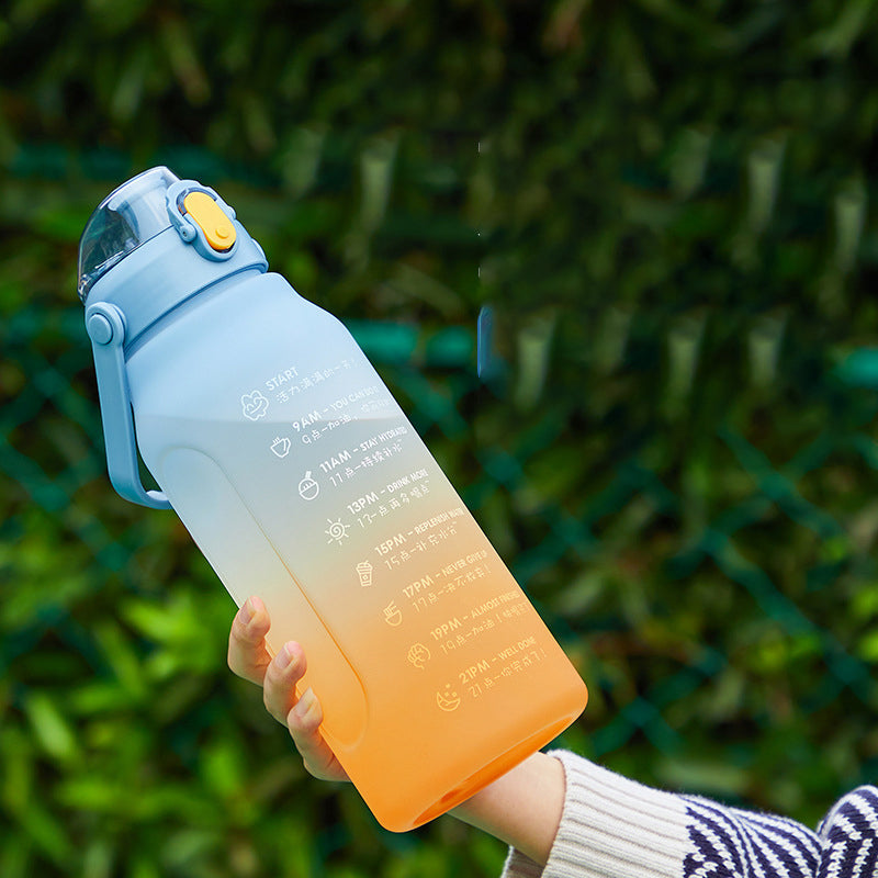 Frosted Gradient Water Bottle