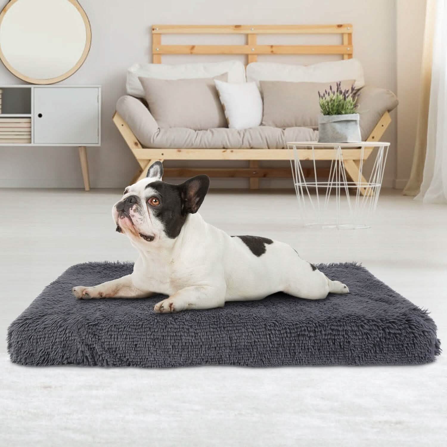 Soft Plush Dog Bed