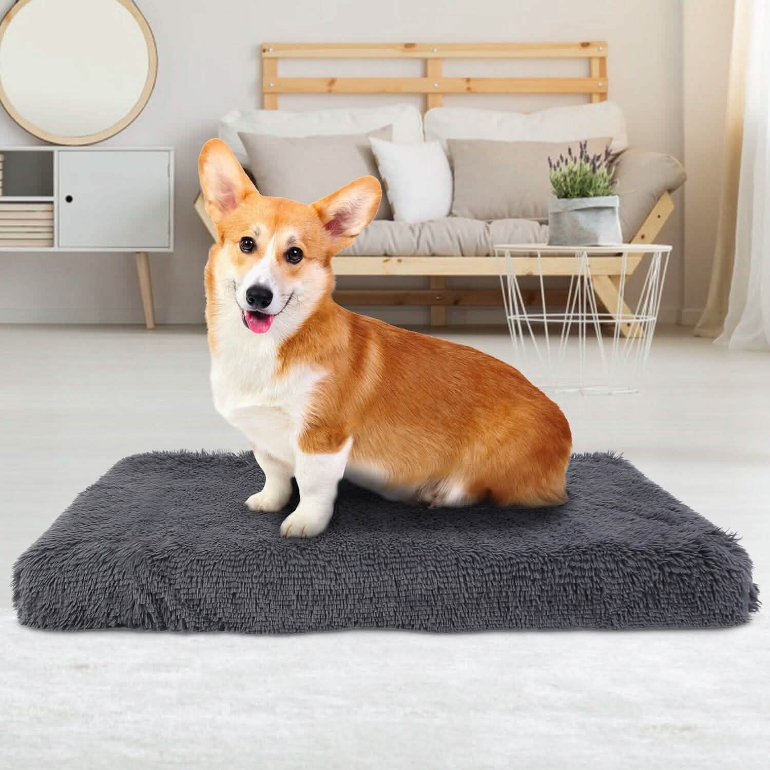 Soft Plush Dog Bed