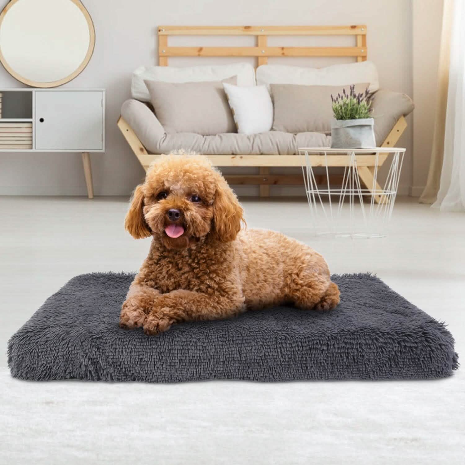 Soft Plush Dog Bed