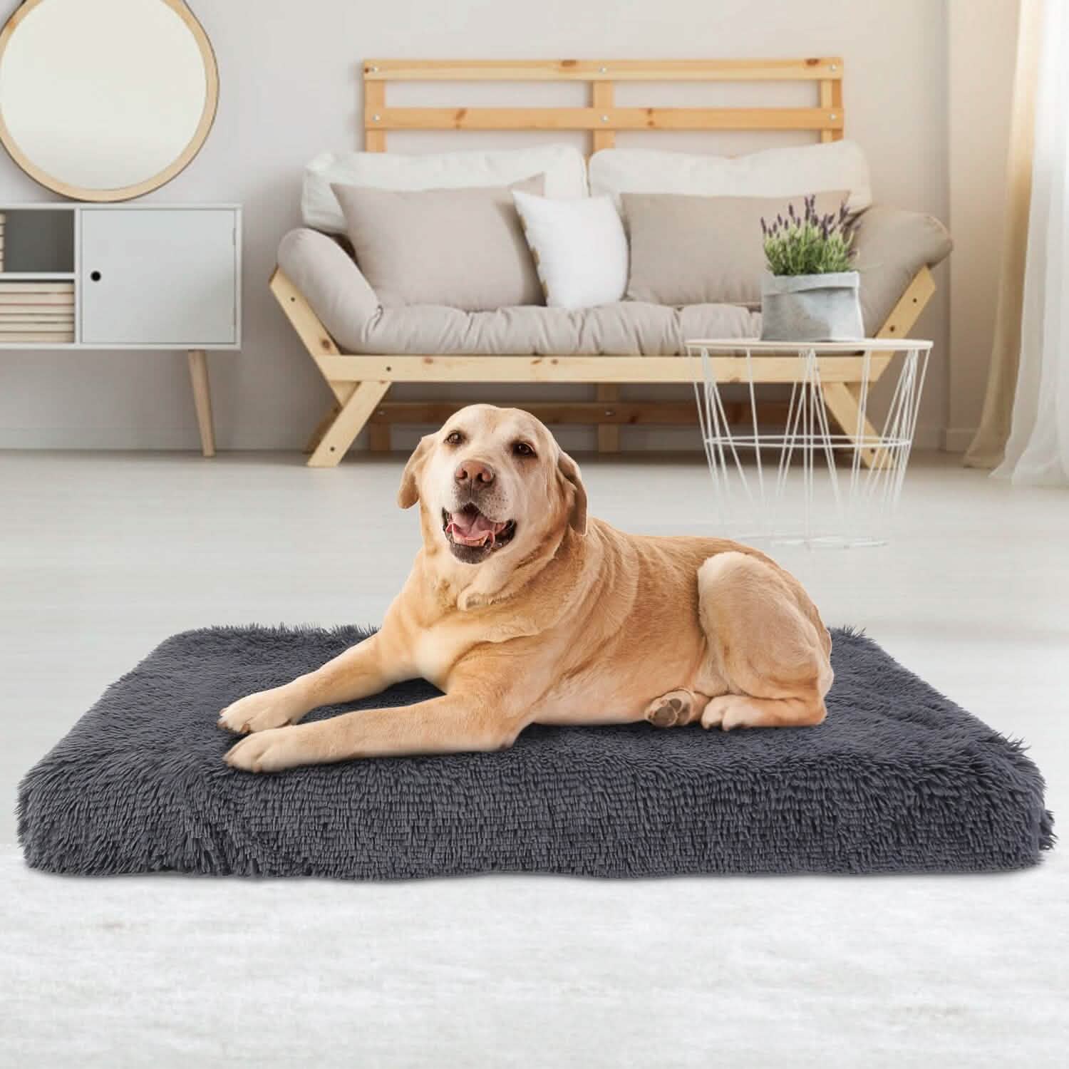 Soft Plush Dog Bed